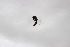 ( - Syr20212343)  @11 [ ] CreativeCommons  Attribution Non-Commercial Share-Alike (2021) zhang tingting Shandong Agricultural University