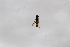  ( - Syr20212417)  @11 [ ] CreativeCommons  Attribution Non-Commercial Share-Alike (2021) zhang tingting Shandong Agricultural University