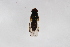  ( - Syr20212428)  @11 [ ] CreativeCommons  Attribution Non-Commercial Share-Alike (2021) zhang tingting Shandong Agricultural University