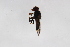 ( - Syr20212428)  @11 [ ] CreativeCommons  Attribution Non-Commercial Share-Alike (2021) zhang tingting Shandong Agricultural University