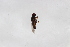  ( - Syr20212429)  @11 [ ] CreativeCommons  Attribution Non-Commercial Share-Alike (2021) zhang tingting Shandong Agricultural University