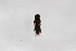  ( - Syr20212490)  @11 [ ] CreativeCommons  Attribution Non-Commercial Share-Alike (2021) zhang tingting Shandong Agricultural University