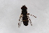  ( - Syr20212519)  @11 [ ] CreativeCommons  Attribution Non-Commercial Share-Alike (2021) zhang tingting Shandong Agricultural University
