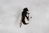  ( - Syr20212537)  @11 [ ] CreativeCommons  Attribution Non-Commercial Share-Alike (2021) zhang tingting Shandong Agricultural University