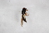  ( - Syr20212840)  @11 [ ] CreativeCommons  Attribution Non-Commercial Share-Alike (2021) zhang tingting Shandong Agricultural University