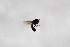  ( - Syr20212885)  @11 [ ] CreativeCommons  Attribution Non-Commercial Share-Alike (2021) zhang tingting Shandong Agricultural University