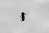  ( - Syr20213033)  @11 [ ] CreativeCommons  Attribution Non-Commercial Share-Alike (2021) zhang tingting Shandong Agricultural University