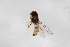  ( - Syr20213566)  @11 [ ] CreativeCommons  Attribution Non-Commercial Share-Alike (2021) zhang tingting Shandong Agricultural University