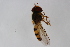  ( - Syr20213680)  @11 [ ] CreativeCommons  Attribution Non-Commercial Share-Alike (2021) zhang tingting Shandong Agricultural University