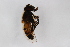  ( - Syr20213729)  @11 [ ] CreativeCommons  Attribution Non-Commercial Share-Alike (2021) zhang tingting Shandong Agricultural University