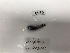  ( - DPND 5250)  @11 [ ] Copyright (2017) Tracey Sutton Nova Southeastern University