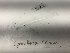  ( - DPND 5414)  @11 [ ] Copyright (2017) Tracey Sutton Nova Southeastern University