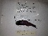  ( - RIE 0717)  @11 [ ] Copyright (2015) Ron Eytan Texas A&M University at Galveston