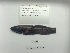  ( - DPND 2209)  @11 [ ] Copyright (2015) Ron Eytan Texas A&M University at Galveston