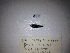  ( - RIE 0133)  @11 [ ] Copyright (2018) Tracey Sutton Nova Southeastern University