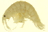  ( - BIOUG00940-F10)  @14 [ ] CreativeCommons - Attribution (2011) CBG Photography Group Centre for Biodiversity Genomics