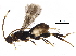  ( - BIOUG36019-B11)  @14 [ ] CreativeCommons - Attribution (2018) CBG Photography Group Centre for Biodiversity Genomics