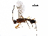  ( - BIOUG36020-D12)  @12 [ ] CreativeCommons - Attribution (2017) CBG Photography Group Centre for Biodiversity Genomics