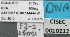  ( - BCAR051)  @11 [ ] CreativeCommons - Attribution (2015) David Donoso UTPL