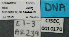  (Azteca EC05 - BCAR239)  @11 [ ] CreativeCommons - Attribution (2015) David Donoso UTPL