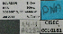  (Azteca EC06 - BCAR282)  @11 [ ] CreativeCommons - Attribution (2015) David Donoso UTPL