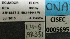  ( - BCAR331)  @11 [ ] CreativeCommons - Attribution (2015) David Donoso UTPL