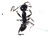  ( - BCCISEC0010132)  @12 [ ] CreativeCommons - Attribution (2015) David Donoso UTPL