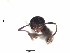  ( - BCCISEC0010136)  @12 [ ] CreativeCommons - Attribution (2015) David Donoso UTPL