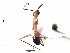  ( - PBA0141)  @12 [ ] CreativeCommons - Attribution (2015) David Donoso UTPL
