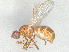  ( - 10PROBE-13103)  @11 [ ] CreativeCommons - Attribution (2023) CBG Photography Group Centre for Biodiversity Genomics