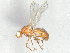  ( - MTDIC-0272)  @11 [ ] CreativeCommons - Attribution (2023) CBG Photography Group Centre for Biodiversity Genomics