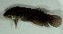  ( - 8-6901-01)  @13 [ ] Copyright (2010) Unspecified Unspecified