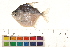  ( - OL-0582)  @14 [ ] CreativeCommons - Attribution (2010) Unspecified Centre for Biodiversity Genomics
