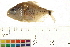  ( - OL-0184)  @14 [ ] CreativeCommons - Attribution (2009) Unspecified Centre for Biodiversity Genomics