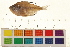  ( - OL-0366)  @14 [ ] CreativeCommons - Attribution (2009) Unspecified Centre for Biodiversity Genomics