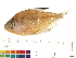  ( - OL-0367)  @14 [ ] CreativeCommons - Attribution (2009) Unspecified Centre for Biodiversity Genomics
