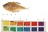  ( - OL-0371)  @13 [ ] CreativeCommons - Attribution (2009) Unspecified Centre for Biodiversity Genomics