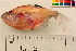  ( - OL-0370)  @13 [ ] CreativeCommons - Attribution (2010) Unspecified Centre for Biodiversity Genomics