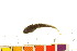  ( - NRS021)  @13 [ ] Unspecified (default): All Rights Reserved  Unspecified Unspecified