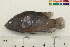  ( - OL-0098)  @13 [ ] CreativeCommons - Attribution (2010) Unspecified Centre for Biodiversity Genomics