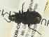  ( - CHU06-COL1-142)  @14 [ ] Unspecified (default): All Rights Reserved  Unspecified Unspecified