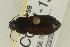  ( - CHU06-COL1-159)  @13 [ ] Unspecified (default): All Rights Reserved  Unspecified Unspecified