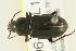  ( - CHU06-COL1-258)  @13 [ ] Unspecified (default): All Rights Reserved  Unspecified Unspecified
