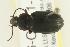  ( - CHU06-COL1-259)  @13 [ ] Unspecified (default): All Rights Reserved  Unspecified Unspecified