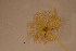  ( - PAC2022-035_OY079-009-01)  @11 [ ] CreativeCommons Attribution Non-Commercial (by-nc)  Unspecified Fisheries & Oceans Canada