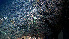  ( - PAC2022-035_OY080-019-01)  @11 [ ] CreativeCommons Attribution Non-Commercial (by-nc)  Unspecified Fisheries & Oceans Canada