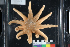  ( - PAC2022-035_OY080-019-01)  @11 [ ] CreativeCommons Attribution Non-Commercial (by-nc)  Unspecified Fisheries & Oceans Canada