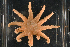  ( - PAC2022-035_OY080-019-01)  @11 [ ] CreativeCommons Attribution Non-Commercial (by-nc)  Unspecified Fisheries & Oceans Canada