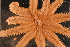  ( - PAC2022-035_OY080-019-01)  @11 [ ] CreativeCommons Attribution Non-Commercial (by-nc)  Unspecified Fisheries & Oceans Canada