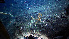  (Poraniopsis - PAC2022-035_OY080-020-01)  @11 [ ] CreativeCommons Attribution Non-Commercial (by-nc)  Unspecified Fisheries & Oceans Canada
